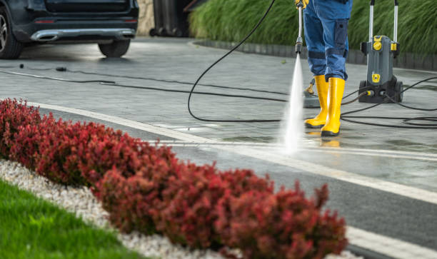 Best Pressure Washing Driveway  in Lindenwold, NJ