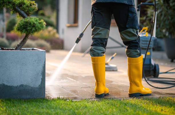 Best Roof Power Washing Services  in Lindenwold, NJ